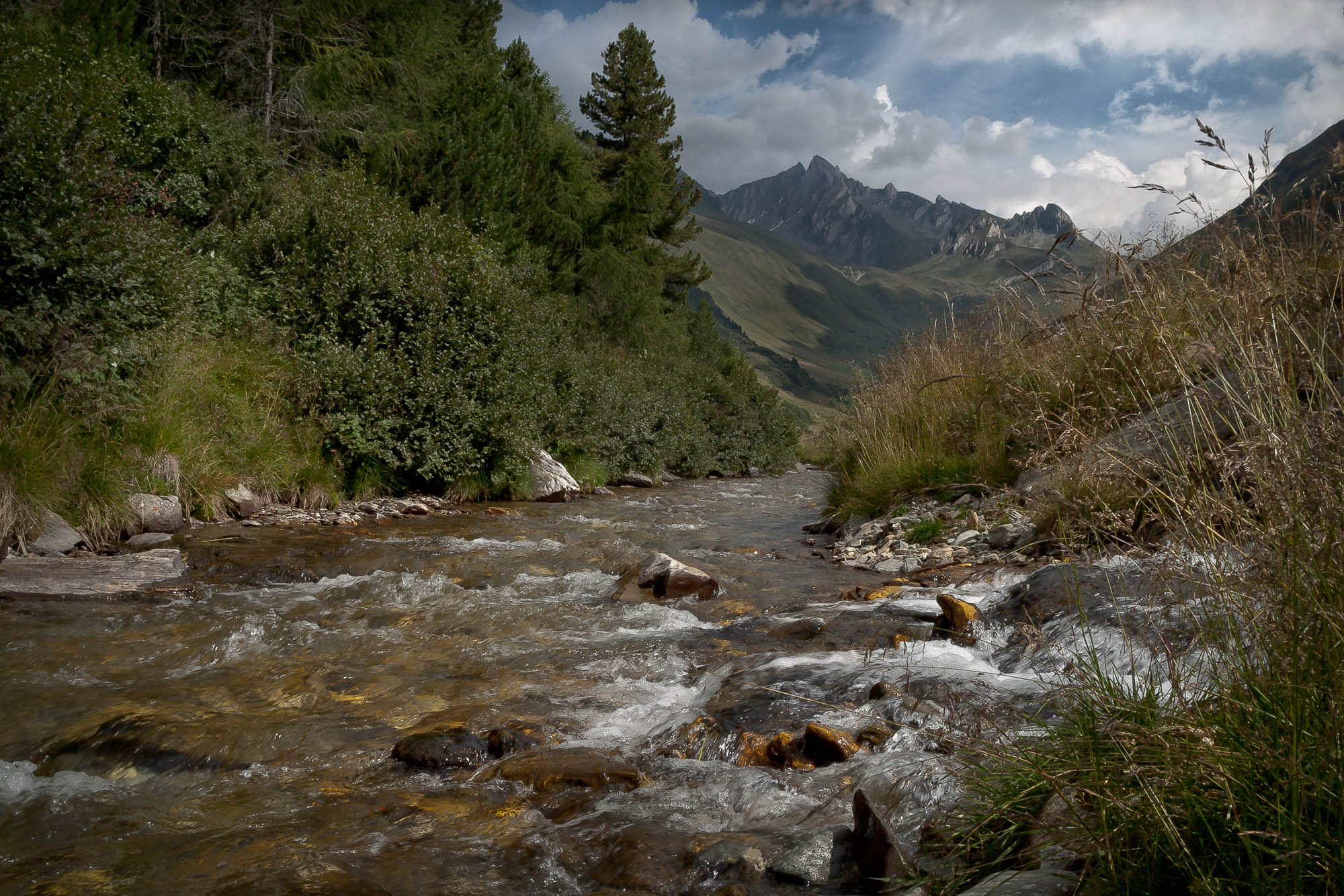 Mountain Stream in South Tyrol